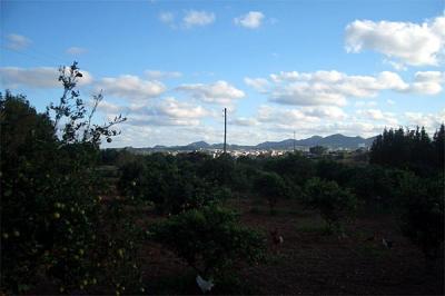 Finca in Manacor