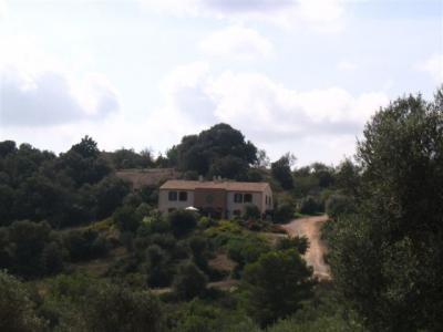 Finca mit 4 Wohnungen in San Lorenzo