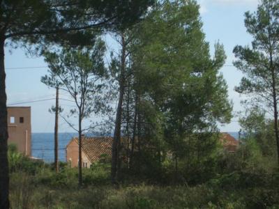 Grundstück in Font de Sa Cala mit Meerblick