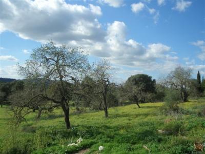Finca  in Capdepera
