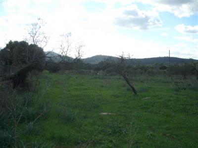 Grundst�ck  in Capdepera