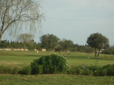 Reihendoppelhaus direct am Golfplatz