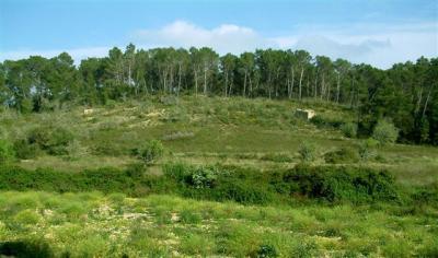 Sant Joan, schoenes Baugrundstueck mit Hanglage
