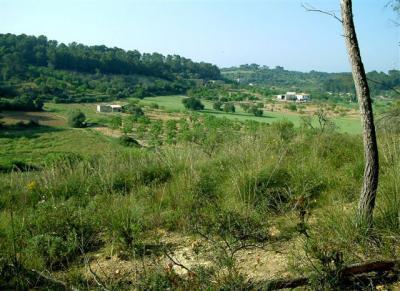 Sant Joan, schoenes Baugrundstueck mit Hanglage