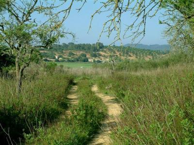 Sant Joan, schoenes Baugrundstueck mit Hanglage