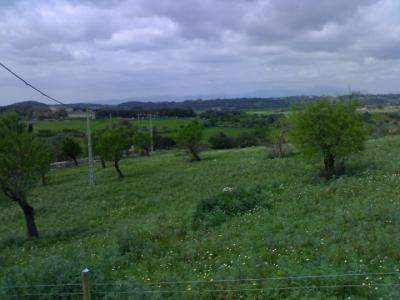 Sineu, grosse Finca ideal fuer kommerzielle Nutzung