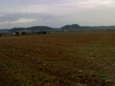Sineu, grosses Baugrundstueck mit 360º Rundblick