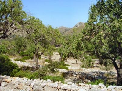 Finca bei der Hermita von Arta zum Renovieren