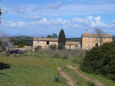 Finca in San Lorenzo