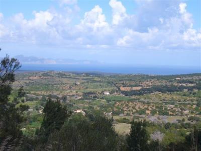 Finca in San Lorenzo