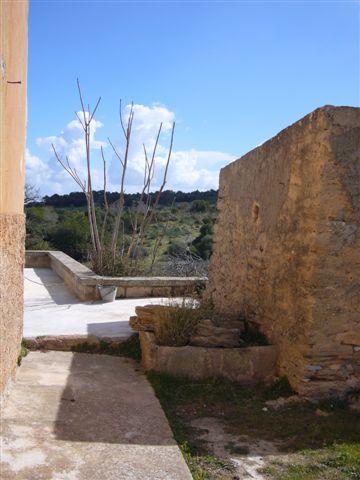 Finca in San Lorenzo
