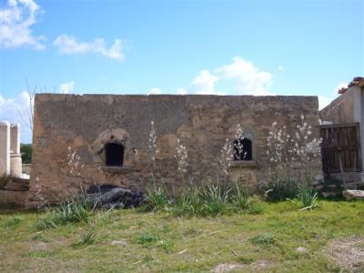 Finca in San Lorenzo