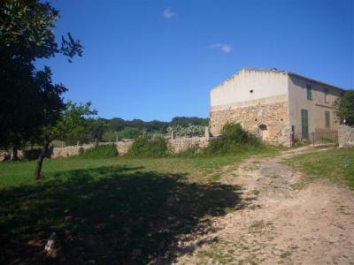 Finca in San Lorenzo auf 2 Parcellen