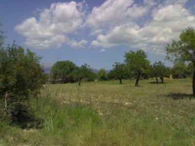 Sencelles, Baugrundstueck mit sehr schoenem Blick
