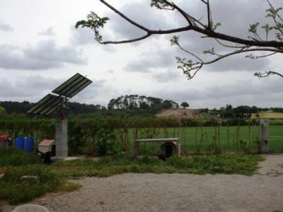 Muro, Landhaus mit grossem Grundstueck