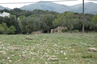 Gründstück/ Finca in Arta