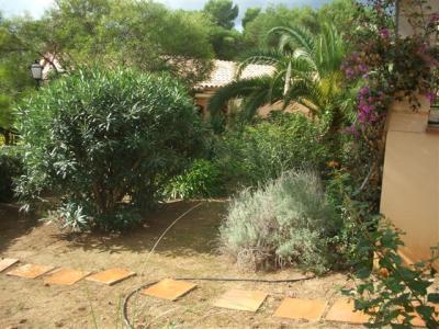 Schones Appartement mit Meerblick in Cayamel