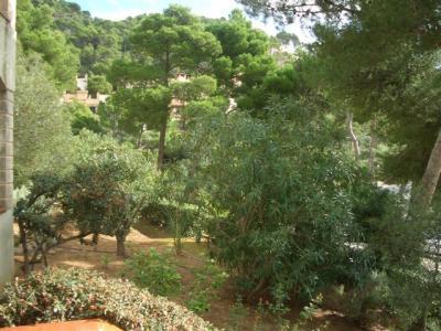 Schones Appartement mit Meerblick in Cayamel
