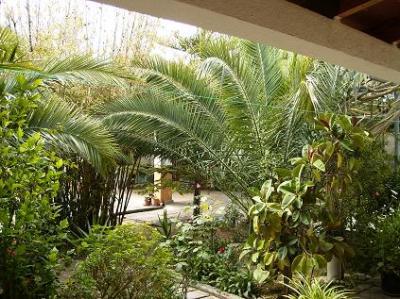 Finca im Inselosten bei Manacor