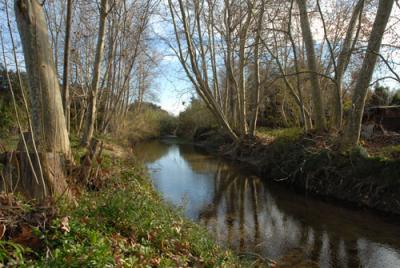 Ruhig gelegene Finca bestehend aus drei Hausern